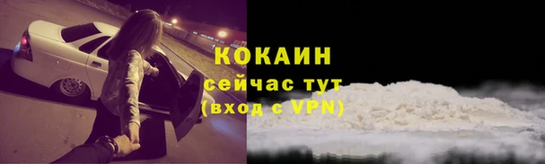 дживик Зерноград
