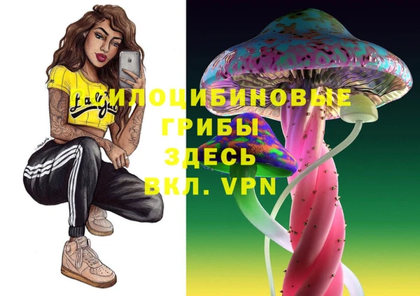 круглые Зеленокумск