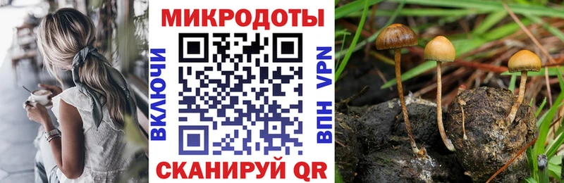 Галлюциногенные грибы прущие грибы маркетплейс как зайти Кисловодск